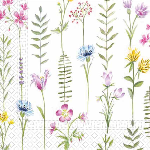 Botanical 3-Ply Luncheon Napkins, 20 Count