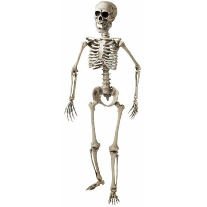 Pose & Hold 60" Lifesize Skeleton - 1/Ctn