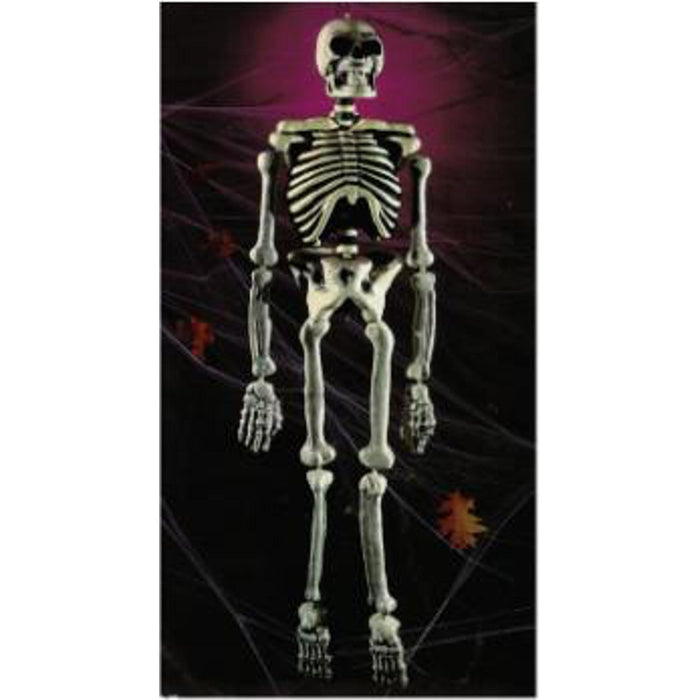 Realistic 5-Foot Skeleton Model.