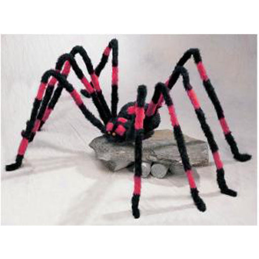 "Red/Black Giant Spiders - Unique & Low Maintenance Pets"