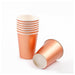 Rose Gold Party Tableware Set