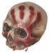 Tribal Warning Skull Halloween Prop