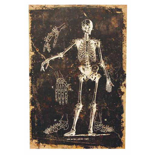 "Skeleto N Canvas Print - L24"Xw16'"