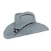 Sparkling Silver Cowboy Hat.