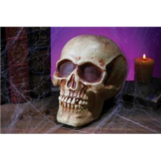 "Spooky 8" Skull Prop For Halloween Decor"