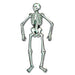 "Spooky Skeleton 55" Jointed For Halloween Decor (1/Pkg)"