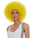 Yellow Clown Wig