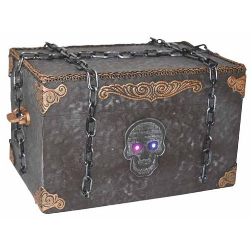 Waterproof Pirate Box For Valuables.