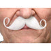 Whimsical White Moustache