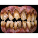 Zombie Teeth By Trick Or Treat Studios.