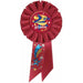 French 2e Place Second Place Award Rosette