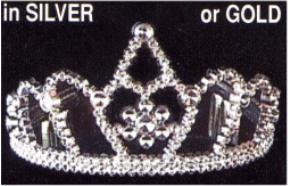 Silver Plastic Princess Tiara with Combs