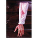 Bloody Hand and Arm Halloween Prop, Assorted Style