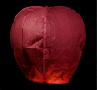 Red Chinese Decorative Lantern