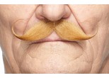 Light Brown Hook Moustache