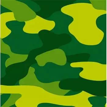 Camouflage Military Beverage Napkins: Commanding Supplies for Your Party (3/Pk)