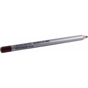 Cinema Secrets Ultimate Lip Pencil in Persimmon