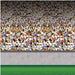 Lower Deck Stadium Insta-Theme Backdrop