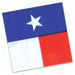 Texas Luncheon Napkins