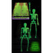 14-Inch Glow-in-the-Dark Posable Skeleton
