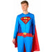 Superman Adult Onesie, Men's 2XL