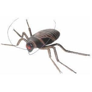 Large Cockroach Halloween Prop