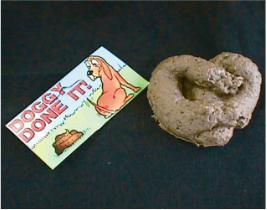 Doggie Doo Fake Poop Prank