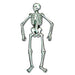 55-Inch Jointed Skeleton Halloween Decoration