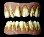 Dental Distortions Dead Fred Zombie FX Fangs