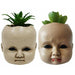 Doll Head Succulent Halloween Decoration, 4.5 Inch