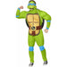 Teenage Mutant Ninja Turtles Deluxe Leonardo Adult Costume, Large