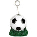 Soccer Ball Photo and Balloon Holder
