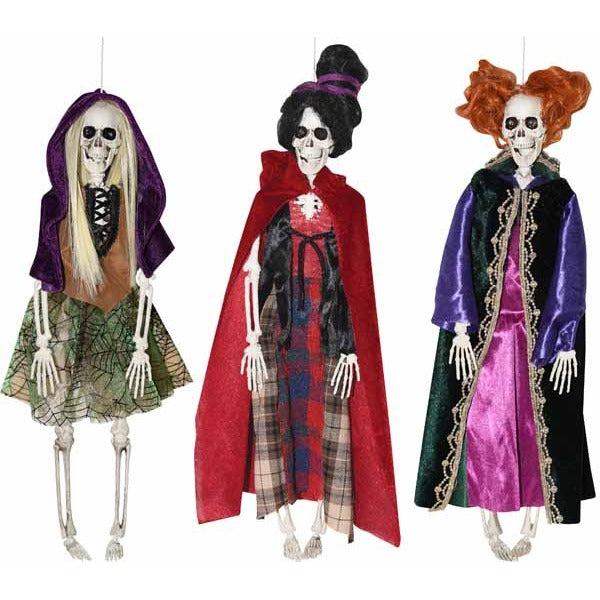 16-Inch Skeleton Witch Halloween Decoration, Assorted