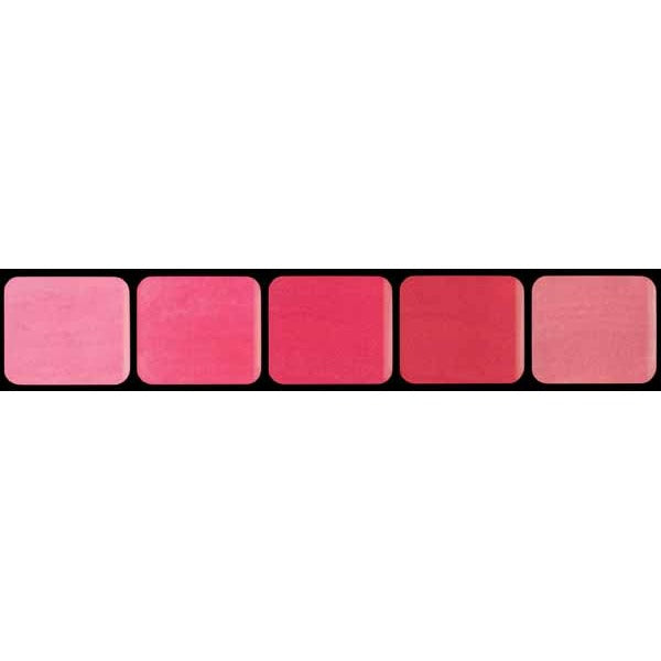 Graftobian Pink Lip Palette, 0.333 oz / 9.5 g
