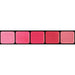 Graftobian Pink Lip Palette, 0.333 oz / 9.5 g