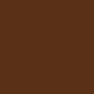Cinema Secrets Ultimate Foundation 101(01) Radiant Spice, 0.50 oz
