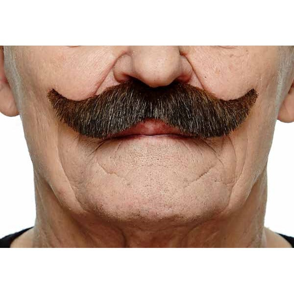 Brown Moustache with Gray Flecks