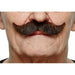 Brown Moustache with Gray Flecks