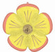 Blossoms Daisy 28-Inch Shaped Foil Balloon