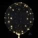Crystal Clearz Transparent Balloon with White LED Lights