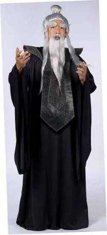 Sensei Master Adult Costume, One Size