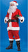 Red Plus Size Santa Suit, Adult Size 50-54