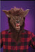 Ferocious Fangs Brown Werewolf Mask