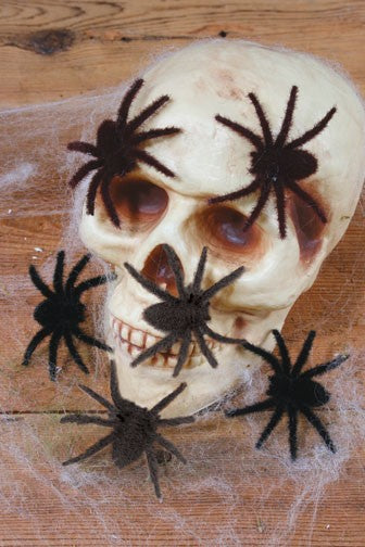 Mini Black Hairy Spider Decorations, 6 Pack