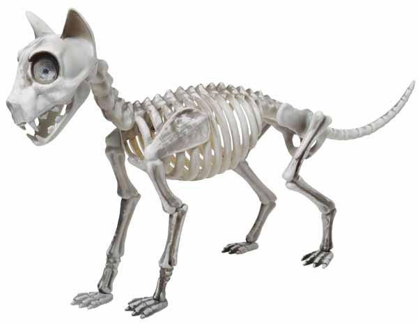 20-Inch Skele-Cat Skeleton Cat Halloween Decoration