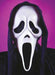 Scream Ghost Mask with Shroud