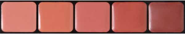 Graftobian HD Glamour Creme Blush Palette, 5 Colors