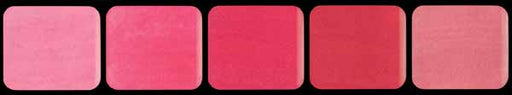 Graftobian Pink Lip Palette, 0.333 oz / 9.5 g