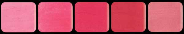 Graftobian Pink Lip Palette, 0.333 oz / 9.5 g