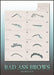 Graftobian Bad Ass Brow Bundles Showy Eyebrow Stencils